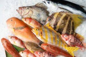ベンナーズ獲れた魚