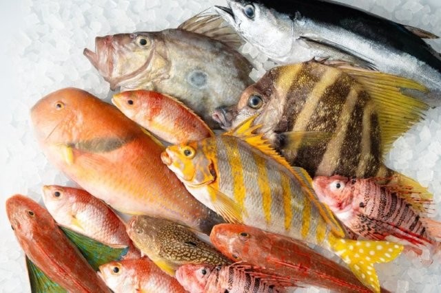 ベンナーズ獲れた魚