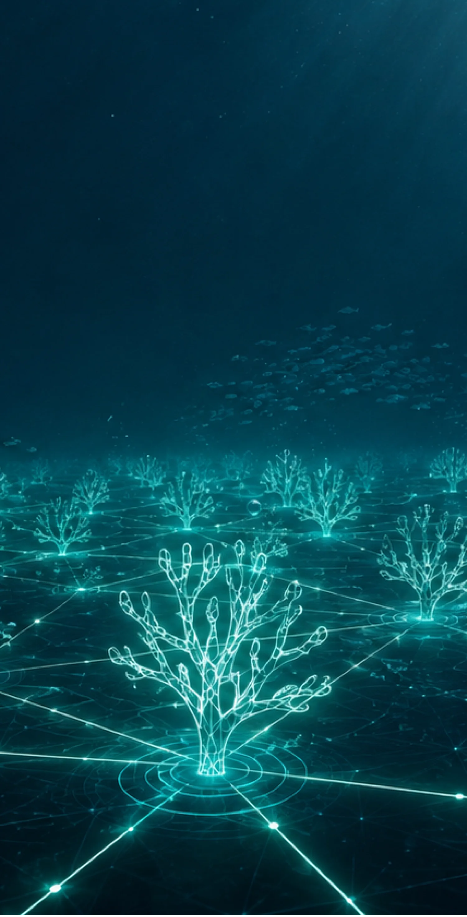 デジタルの海の画像
